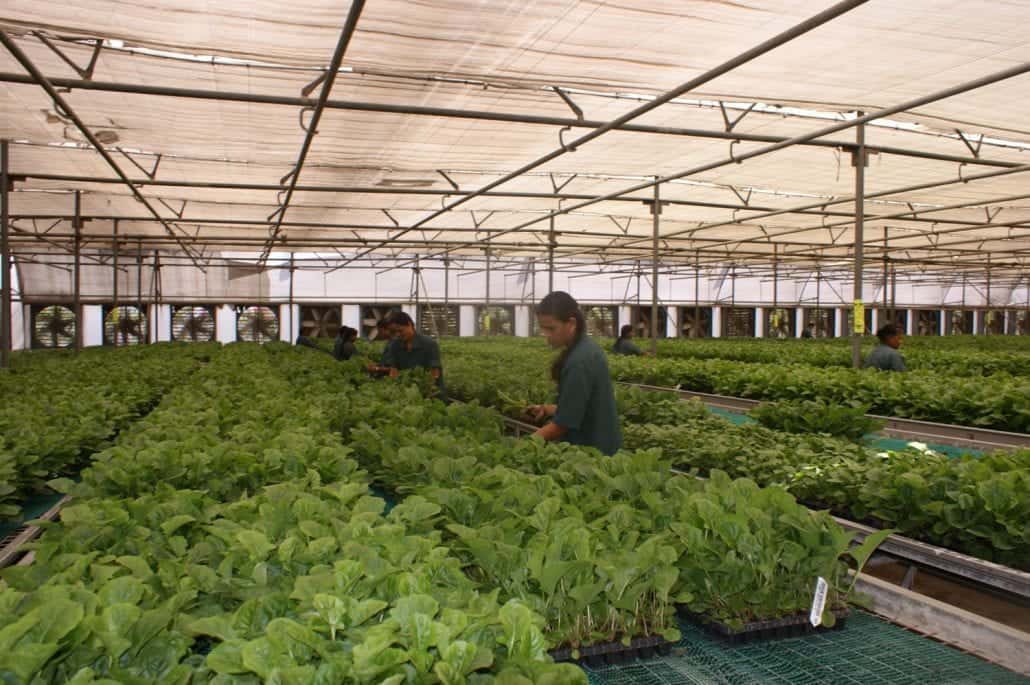 HortiTechIndia. Public Private Partnership for the Indian ...