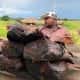FoodTechAfrica Tanzania Catfish Sold Allong The Road