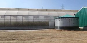 Demonstration polyhouse has a Hendic water storage system