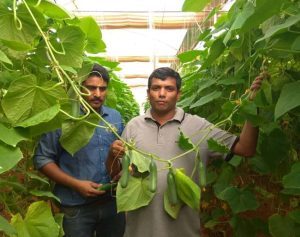 Manager at Rijk Zwaan India, Venugopal Reddy, has been involved in FoodTechIndia since its launch in 2015
