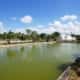 Algae in the grow out ponds