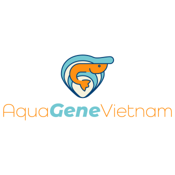 The AquaGeneVietnam partnership is a collaboration between Vietnamese and Dutch companies aimed at enhancing Vietnam's position as a leading player in aquaculture. The programme aims to develop and demonstrate advanced selective breeding programmes for shrimp and clams in the Vietnamese aquaculture sector.