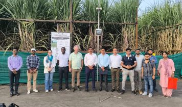 BD Horti_0001_Brightness_Contrast 2