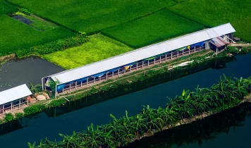 BD Poultry