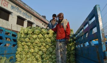 Bangladesh Horticulture 02