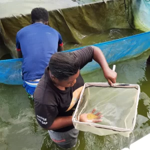 Data driven aquaculture Tanzania