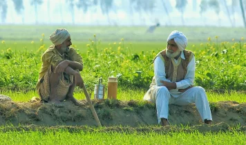 Larive - India agrofood opportunities 06