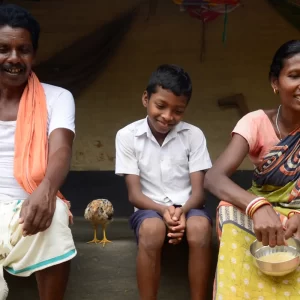 poultry handling India