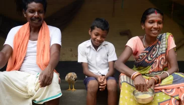 poultry handling India