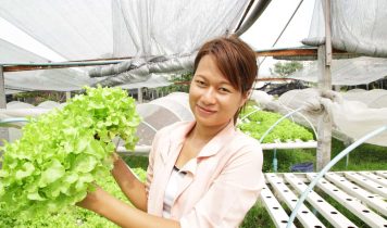 Vietnam Horticulture Agrochemicals